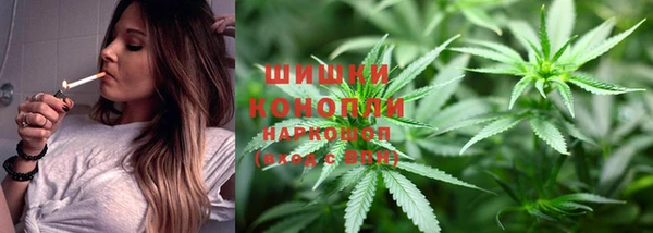 PSILOCYBIN Краснослободск